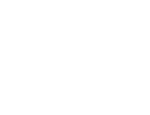 sabra logo white