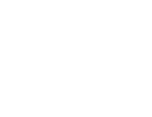 sabra logo white