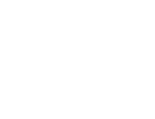 DUDE Wipes Logo in White