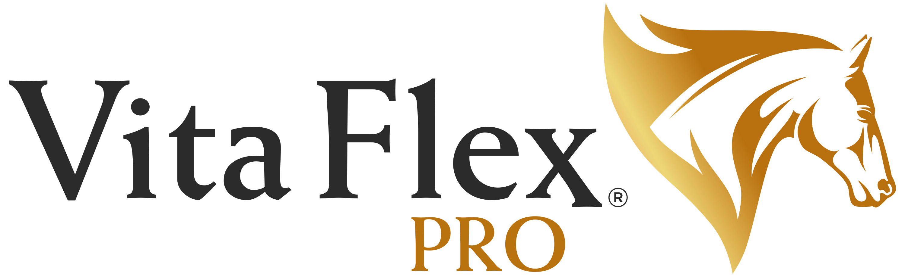 VitaFlexPro_Logo