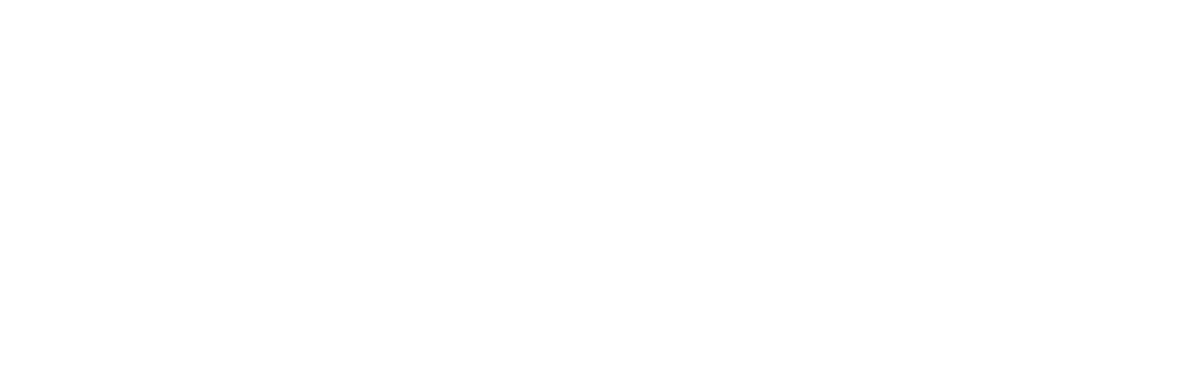 bic white logo