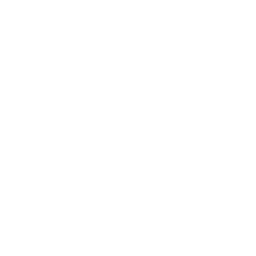 lightning bolt icon