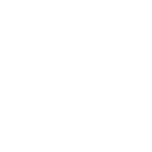 icon-network-white