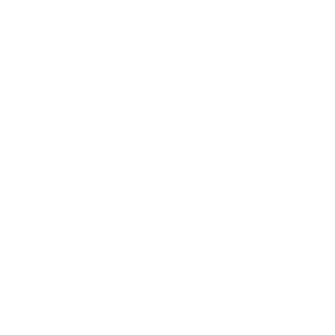 icon-price-tag-1-white