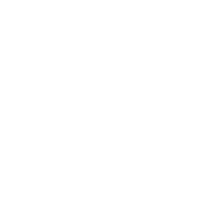 paid-icon-white